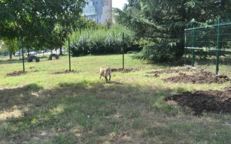 Благодарение на общинските съветници от ГЕРБ осветяват зоната за кучета в „Меден рудник”