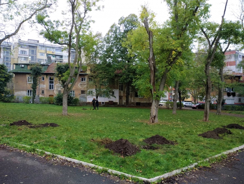 35 дървета ще бъдат засадени в парка зад Военна болница