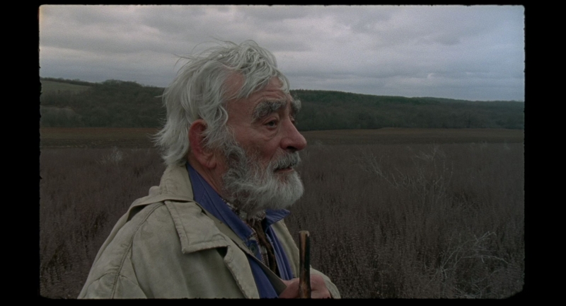 София филм фест на брега стартира с филм на Камен Калев