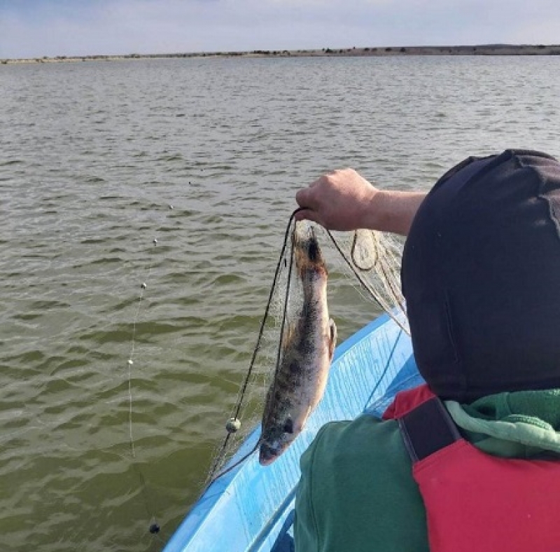 ИАРА нанесе нов удар по бракониерите в Мандра