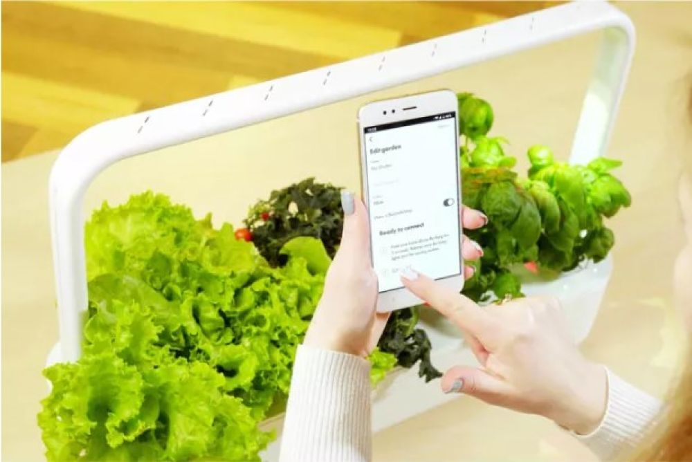 Умна саксия променя разбиранията за домашно градинарство