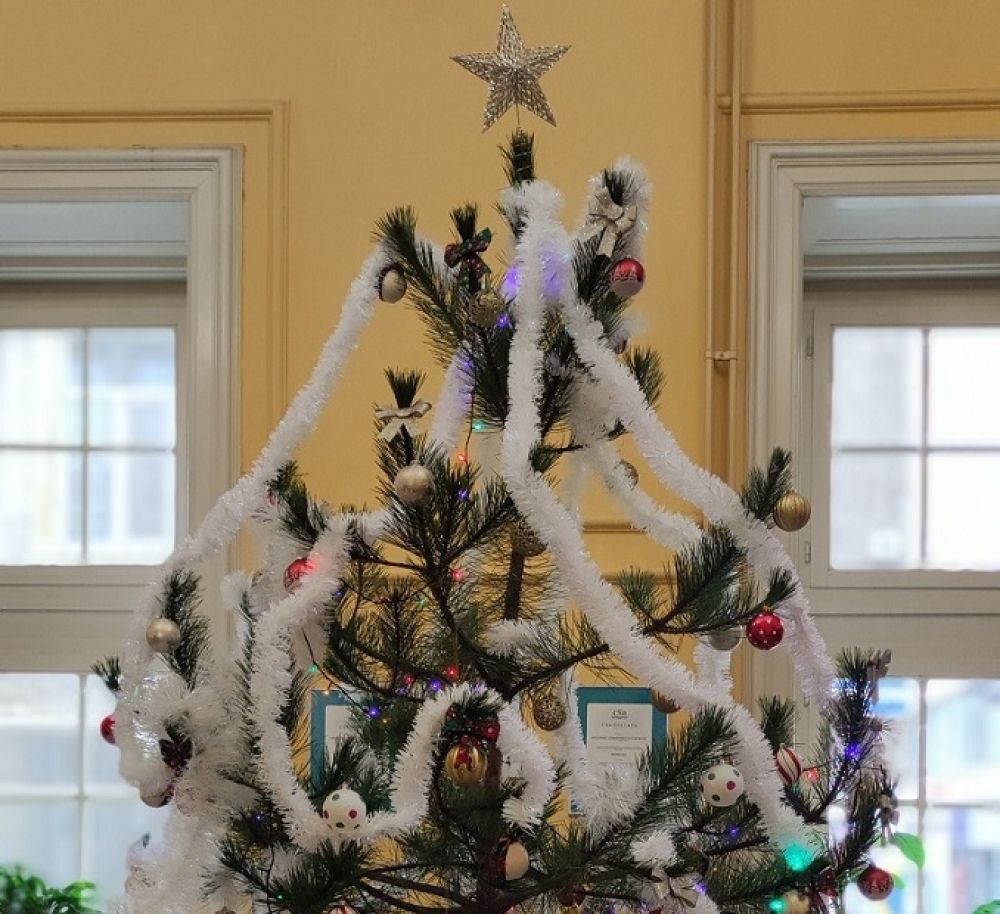 За седма поредна година в Областна администрация се организира благотворителната кампания „Елха на доброто“   