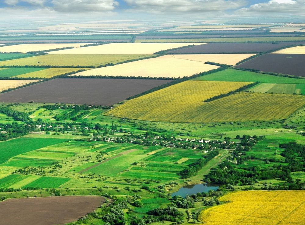 Граждани на ЕС вече могат да притежават земеделска земя в България