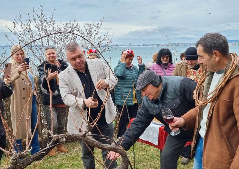 Един тон червено вино изпиха в Свети Влас за Трифон Зарезан