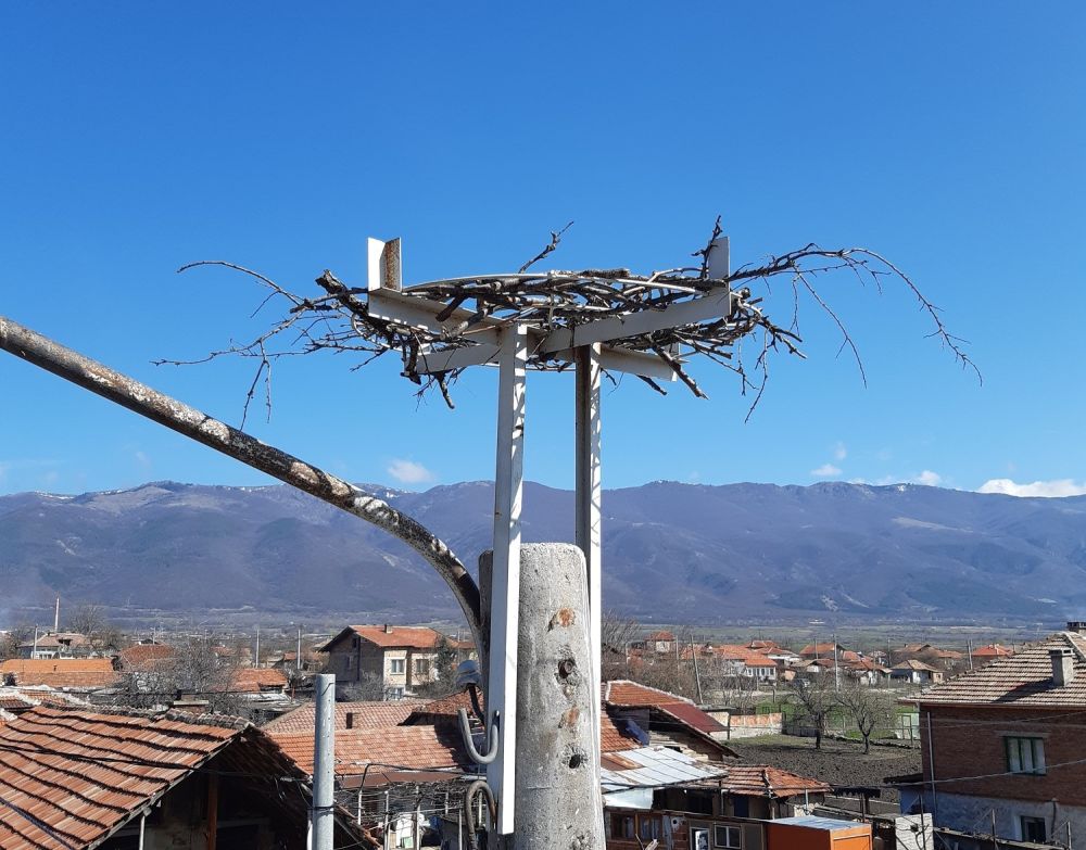 Електроразпределение Юг монтира 499 нови платформи за щъркелови гнезда по стълбове от електроразпределителната мрежа