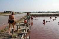 Съветници с апел да се отвори безплатна зона на басейните с луга и кал