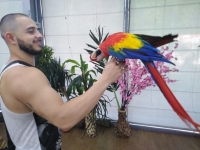 Излагат говорещи папагали във Флората