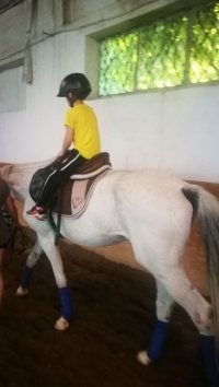 В Конна база „Бургас“ да развиват лечебна езда за деца, предлагат съветници