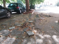 ПП СЕК и граждани правят карта с улици, които се нуждаят от ремонт в Бургас 