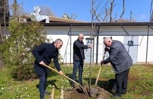 Тихомир Янакиев засади първото дърво в мащабна залесителна акция в Созопол