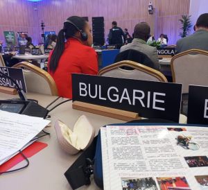 Центърът за подводна археология в Созопол вече е Институт за подводно наследство към ЮНЕСКО